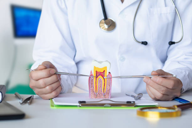 Best Emergency Denture Repair in West Yarmouth, MA